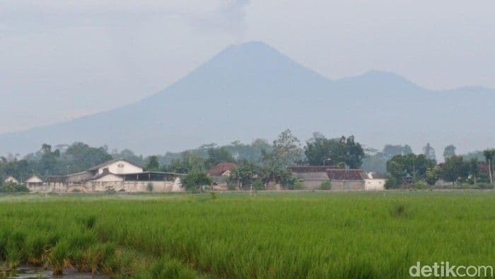 Semeru Erupsi Lagi, Awan Panas Meluncur hingga 6 Kilometer